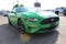 2019 Ford MUSTANG COUPE