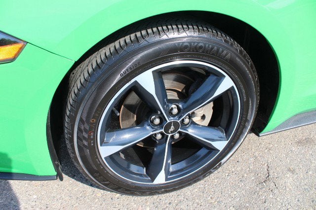 2019 Ford MUSTANG COUPE