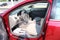 2011 Chevrolet Malibu LT w/2LT