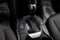 2013 Hyundai Santa Fe 2.0T Sport